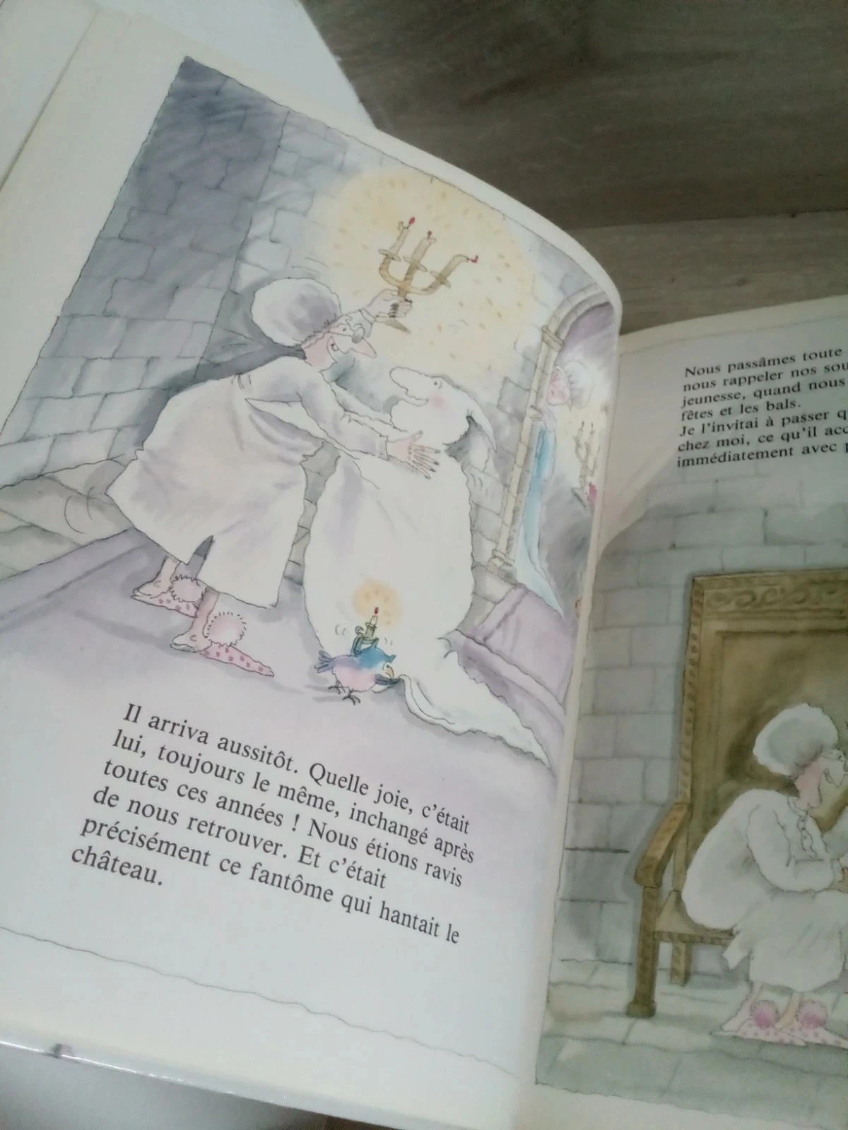Grand livre cartonné les aventures de la sorcière camomille – photo 8